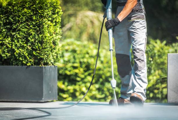 Best Soft Washing for Delicate Surfaces in Whitney, TX