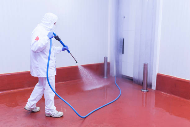 Best Vinyl Siding Pressure Washing in Whitney, TX