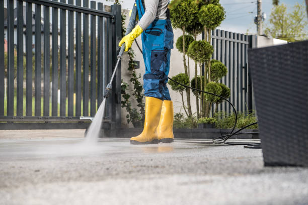 Best Fence Cleaning and Maintenance in Whitney, TX